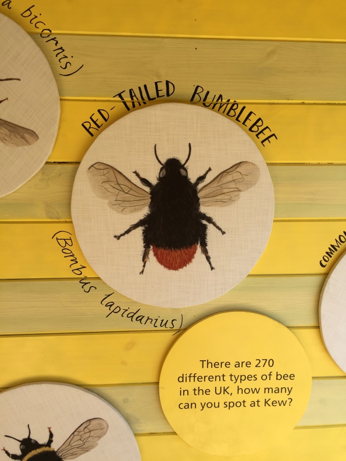 Bee Info